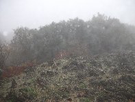 Cisternazza